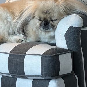 Meet your Posher, Shelly